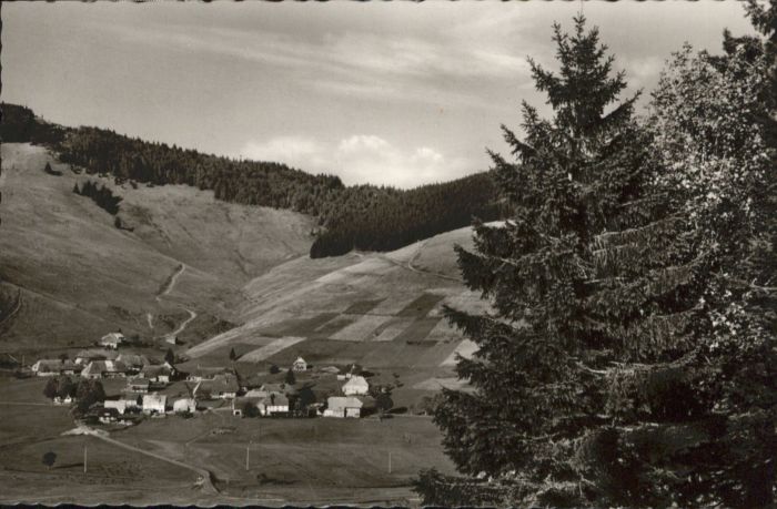 Bernau Schwarzwald Bernau Gasthaus Pension zum Löwen