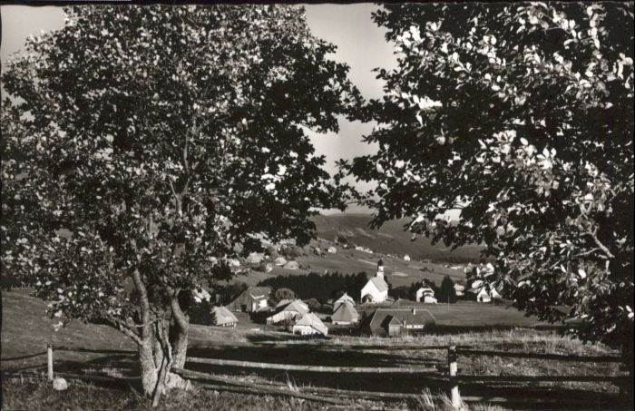 Bernau Schwarzwald Bernau