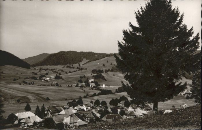 Bernau Schwarzwald Bernau