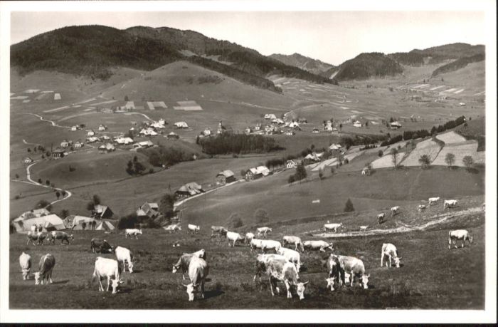 Bernau Schwarzwald Bernau