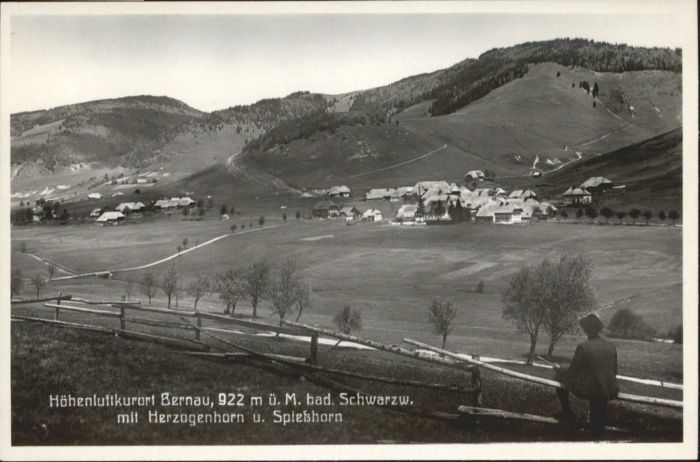 Bernau Schwarzwald Bernau Herzogenhorn Spiesshorn