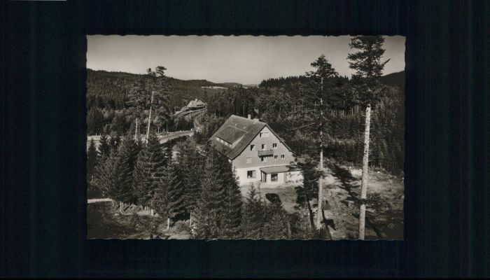 Baerental Feldberg Bärental Waldhotel Andris