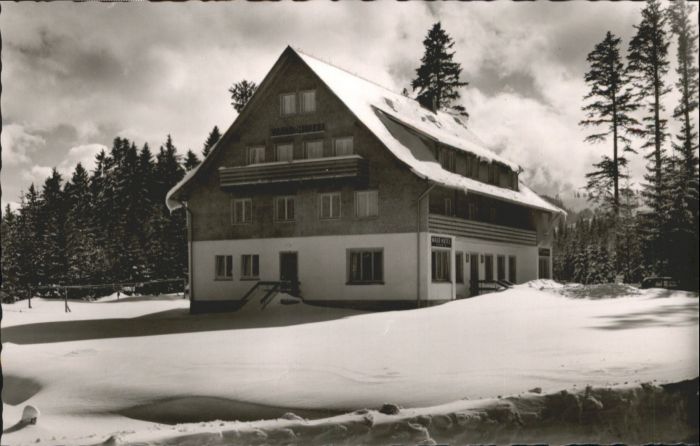 Baerental Feldberg Bärental Waldhotel Andris