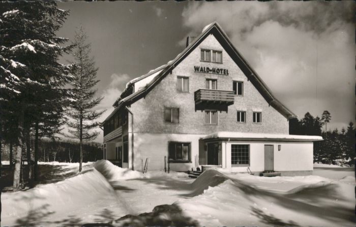 Baerental Feldberg Bärental Waldhotel Andris