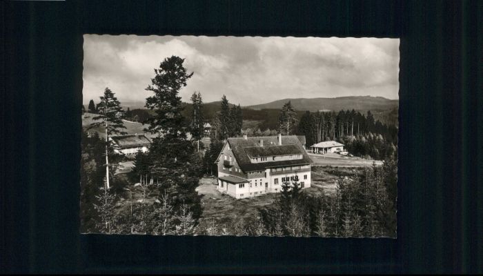 Baerental Feldberg Bärental Waldhotel Andris