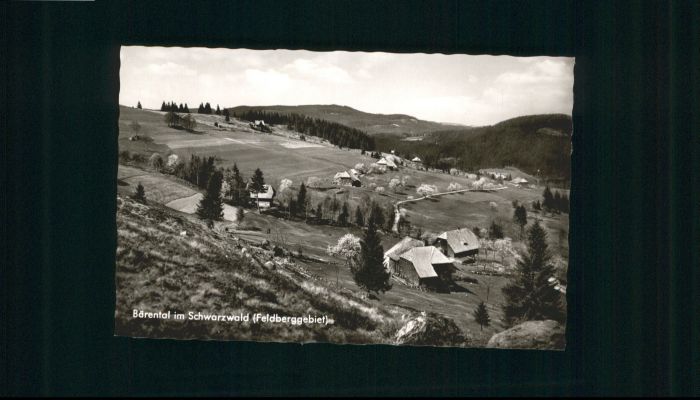 Baerental Feldberg Bärental