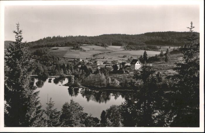 Wittenschwand Klostersee