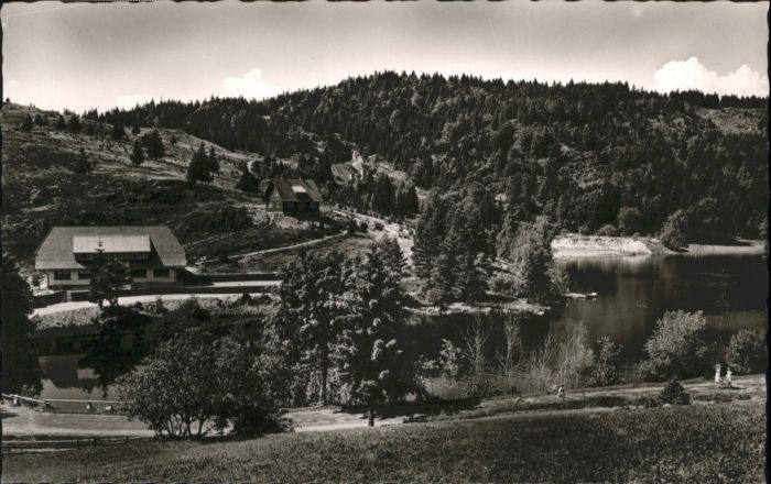 Wittenschwand Klosterweiher