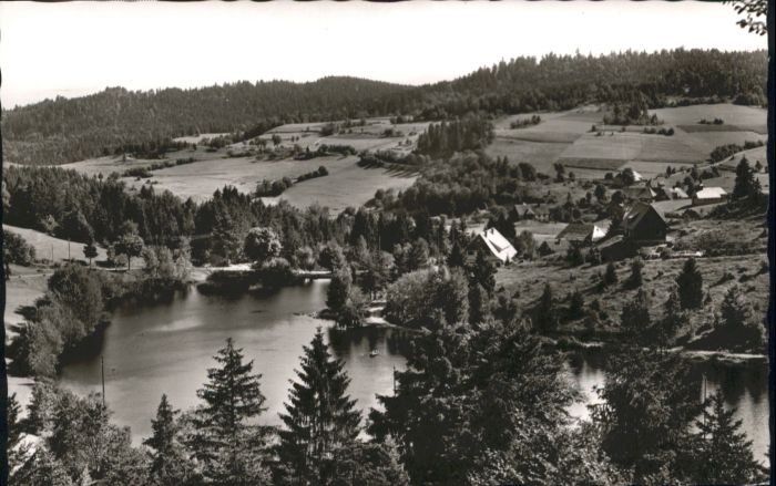 Wittenschwand Klosterweiherhof