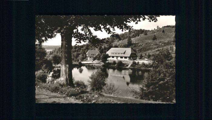 Wittenschwand Hotel Klosterweiherhof Haus Alpenblick