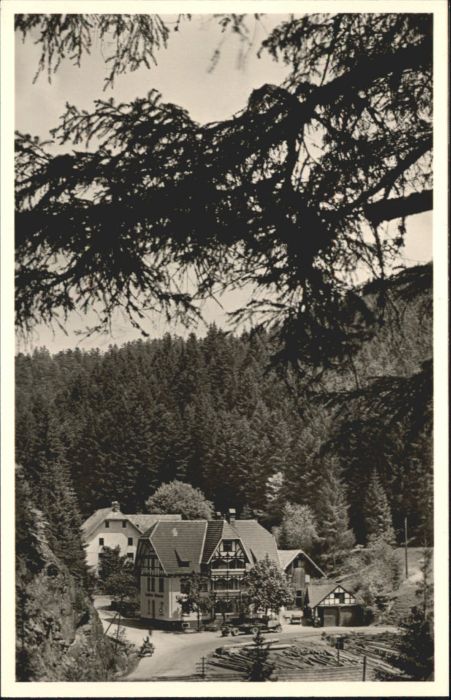 Bonndorf Schwarzwald Bonndorf Gasthof Pension Steinasäge