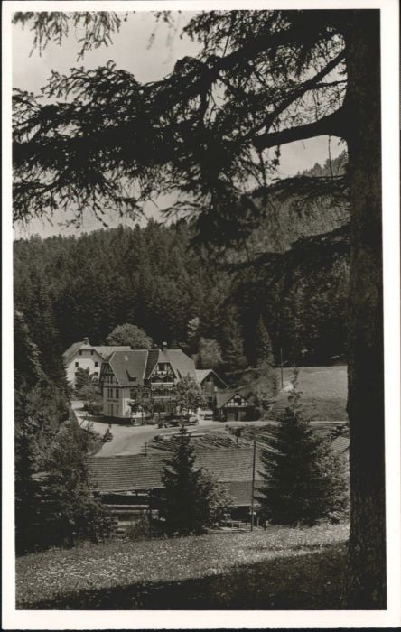 Bonndorf Schwarzwald Bonndorf Gasthof Fremdenheim Steinasäge