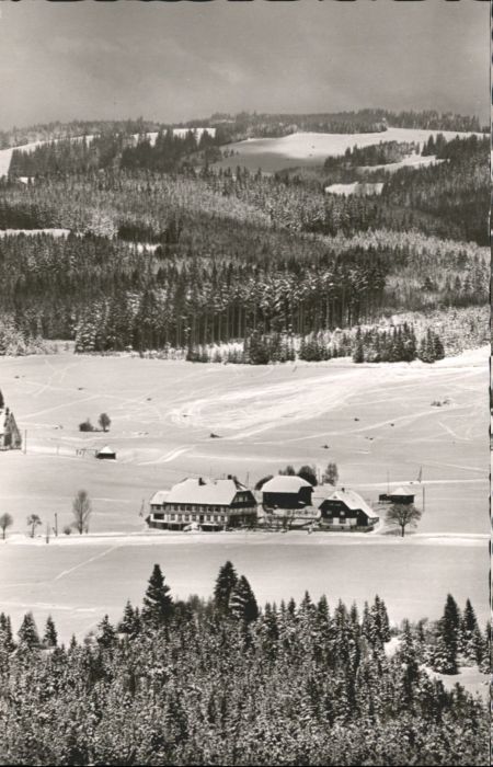 Hinterzarten Breisgau-Hochschwarzwald BW Hotel Pension Lafette