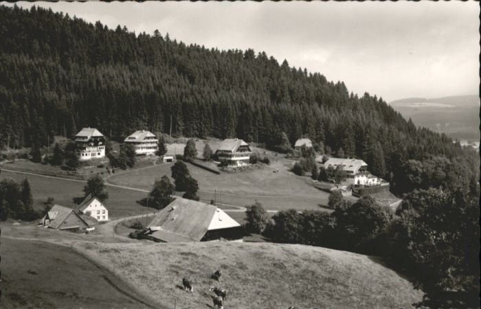 Hinterzarten Breisgau-Hochschwarzwald BW Am Hugenberg