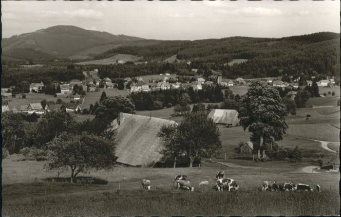 Hinterzarten Breisgau-Hochschwarzwald BW