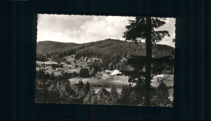 Hinterzarten Breisgau-Hochschwarzwald BW