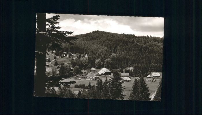 Hinterzarten Breisgau-Hochschwarzwald BW