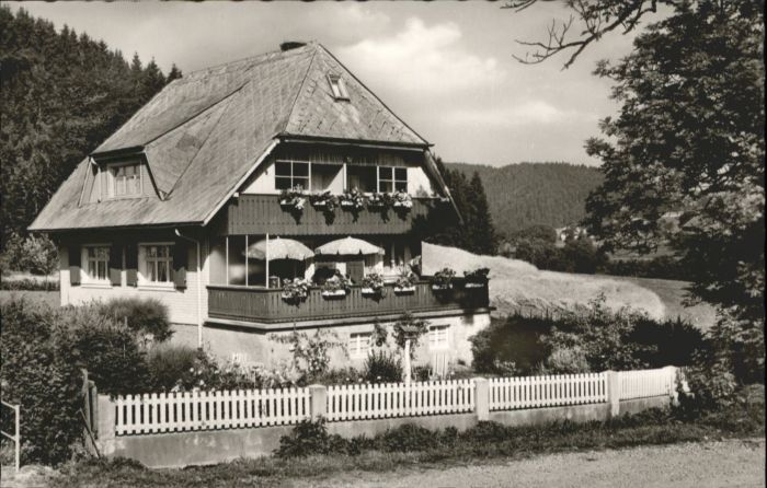 Hinterzarten Breisgau-Hochschwarzwald BW Haus Bergfrieden