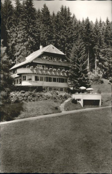 Hinterzarten Breisgau-Hochschwarzwald BW Gaestehaus Auf der Waldhoehe *