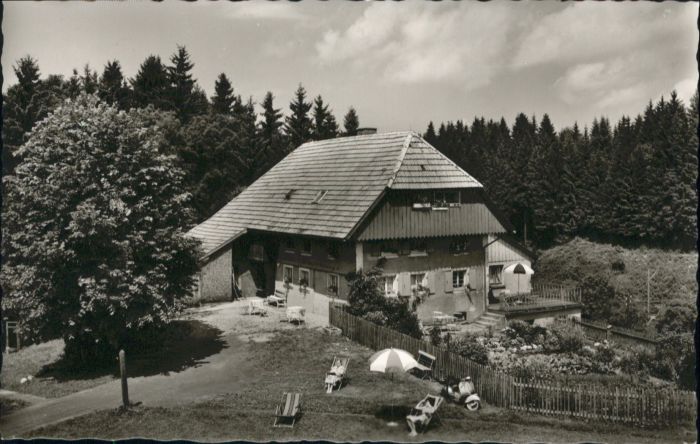 Hinterzarten Breisgau-Hochschwarzwald BW Haus Schwoerer im Wiesengrund
