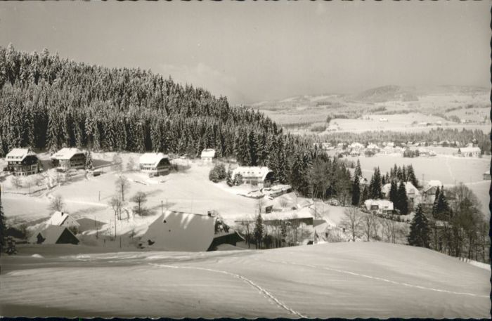 Hinterzarten Breisgau-Hochschwarzwald BW Hotel Weisses Roessle