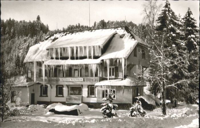 Hinterzarten Breisgau-Hochschwarzwald BW Pension Waldheim