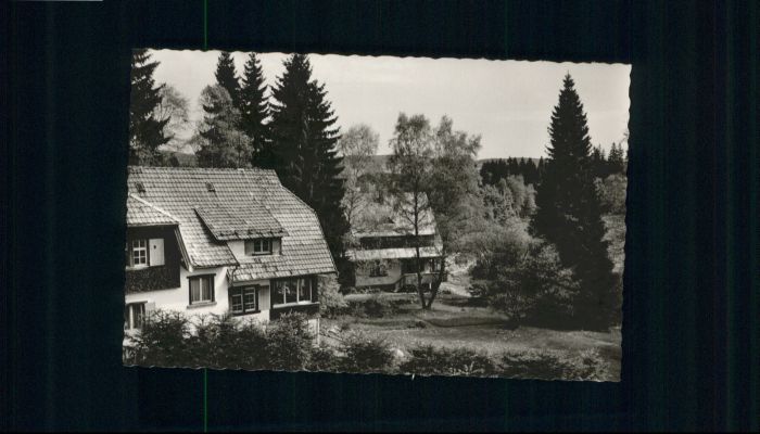 Hinterzarten Breisgau-Hochschwarzwald BW Haus von Nauendorf