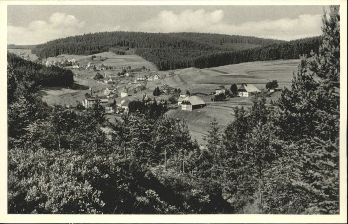 Eisenbach Schwarzwald