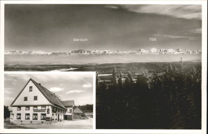 Eisenbach Schwarzwald Gasthof Pension zum Hirschen