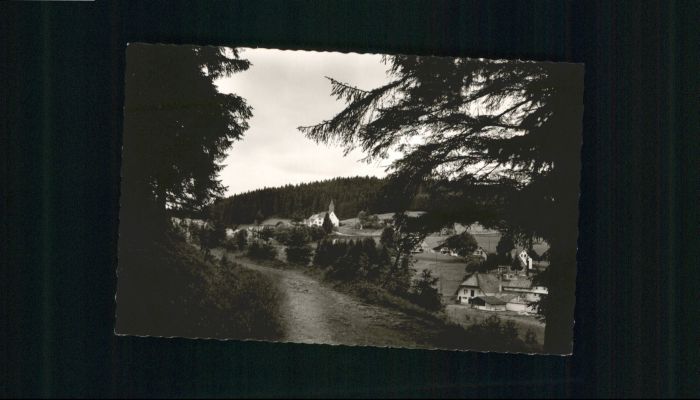 Eisenbach Schwarzwald