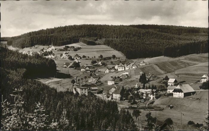 Eisenbach Schwarzwald Gasthof Pension Bad