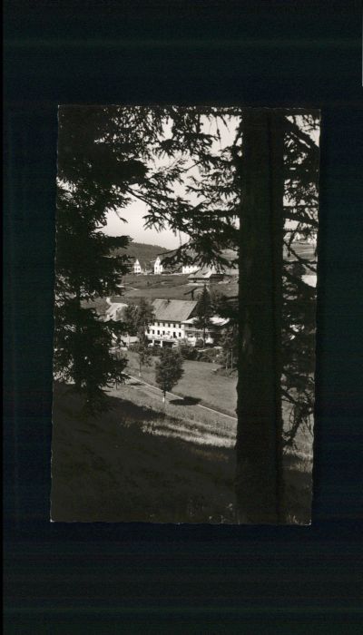 Eisenbach Schwarzwald Pension zum Bad