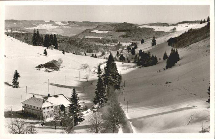 Neuglashuetten Gasthaus Pension Cafe Gruener Baum *