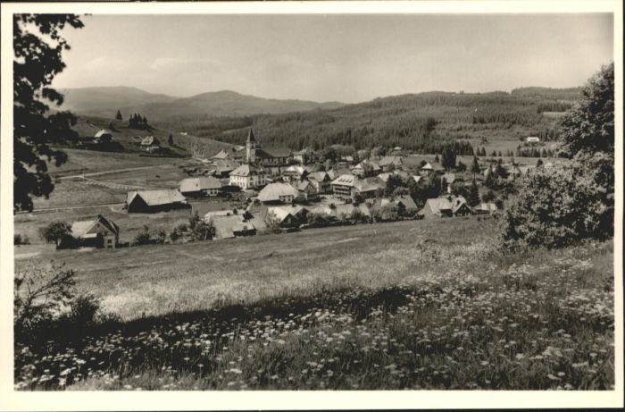 Altglashuetten otel Hirschen