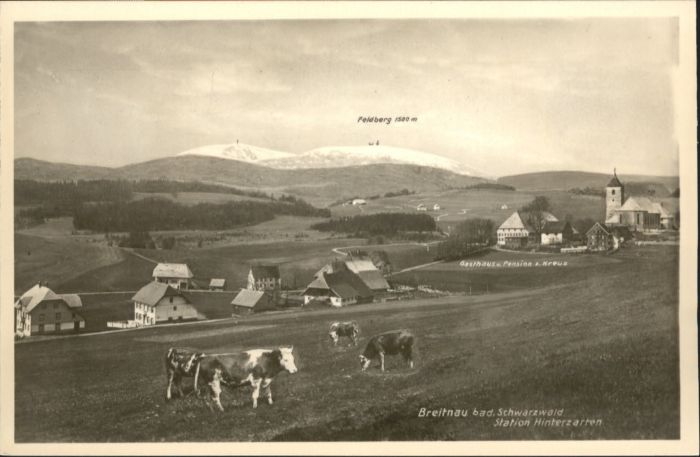 Breitnau Station Hinterzarten