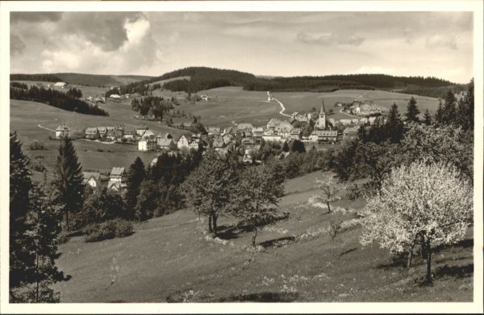 Schonach Schwarzwald Pension Rebstock Hotel