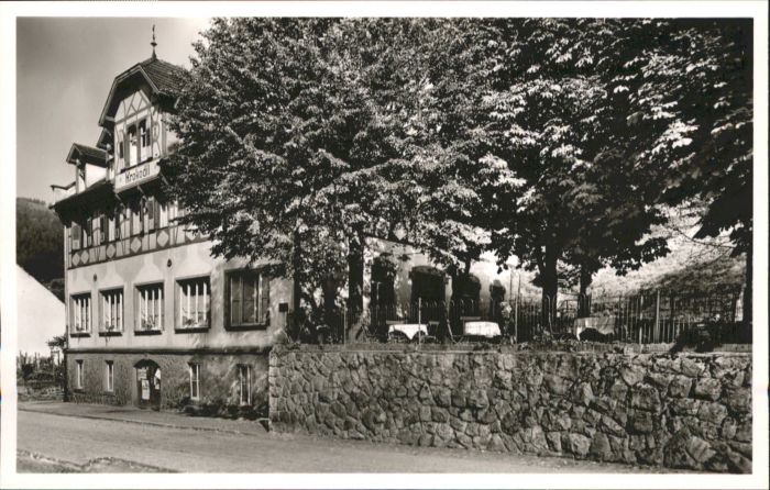 Hornberg Schwarzwald Gasthaus zum Krokodil