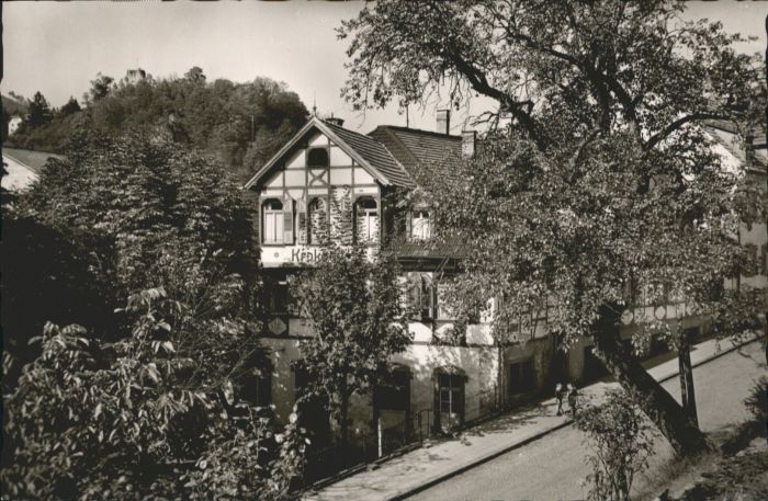 Hornberg Schwarzwald Gasthaus zum Krokodil