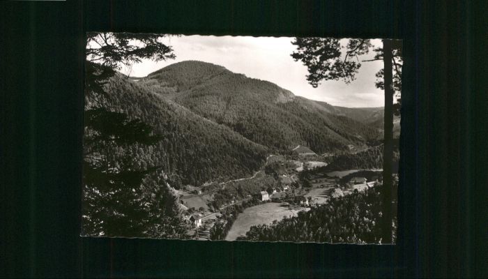 Niederwasser Pension Neumaier