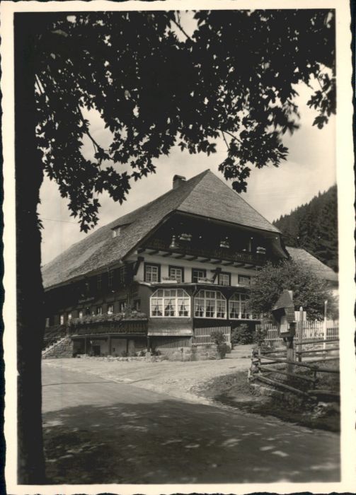 Menzenschwand Gasthaus zum Hirschen
