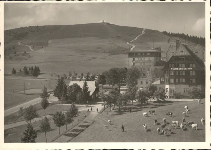 Feldberg Schwarzwald Feldberg Hotel Feldbergerhof
