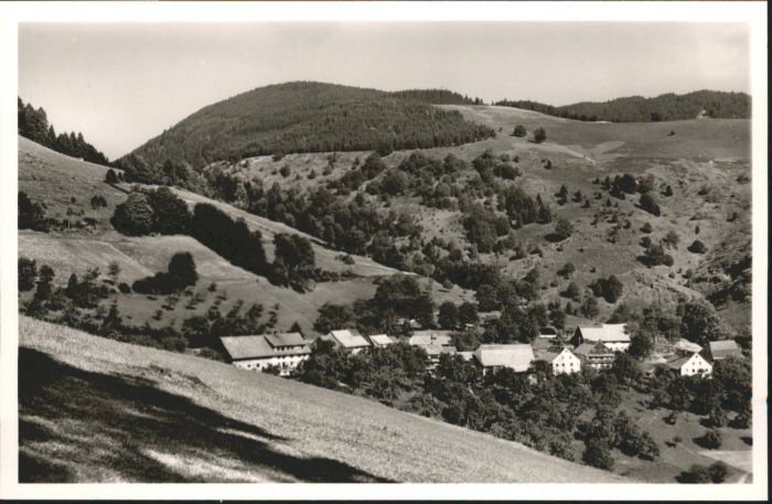 Schoenau Schwarzwald aus Sonnenhof