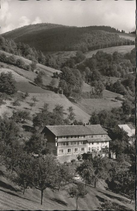 Schoenau Schwarzwald aus Sonnenhof