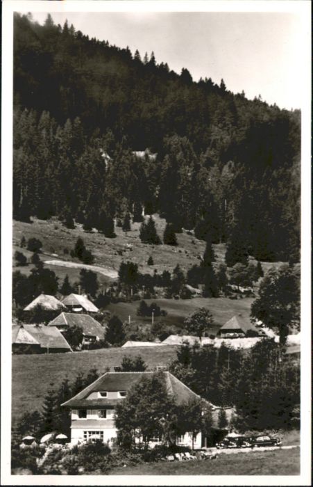 Todtmoos Schwarzwald BW Hotel Pension Weidberghaus