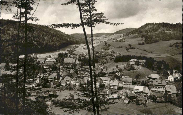 Todtmoos Schwarzwald BW Privat Kinder Kurheim Jugendfreude