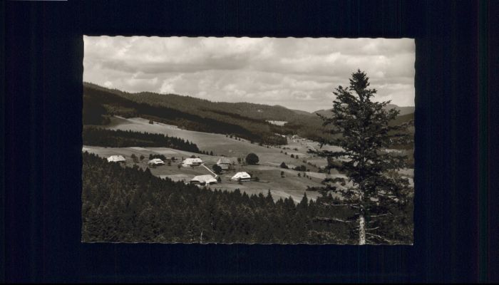 Todtmoos Schwarzwald BW Pension Dreimaedelhaus