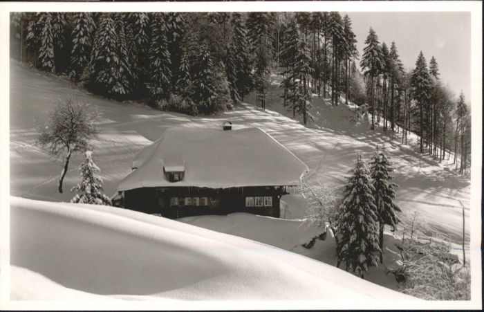 Todtmoos Schwarzwald BW Felsenhaus