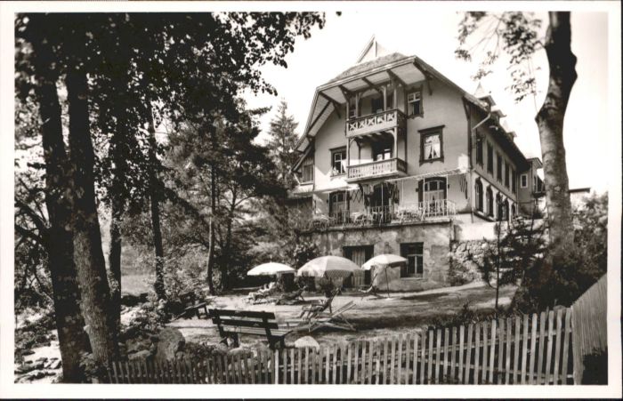 Muggenbrunn Gasthof grüner Baum