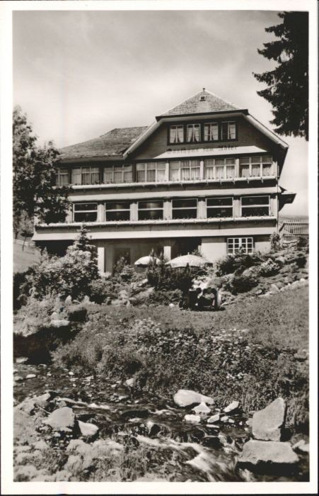 Muggenbrunn Gasthaus Pension Adler
