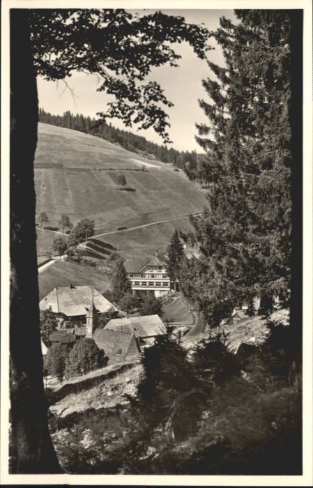 Muggenbrunn Gasthaus Pension Adler